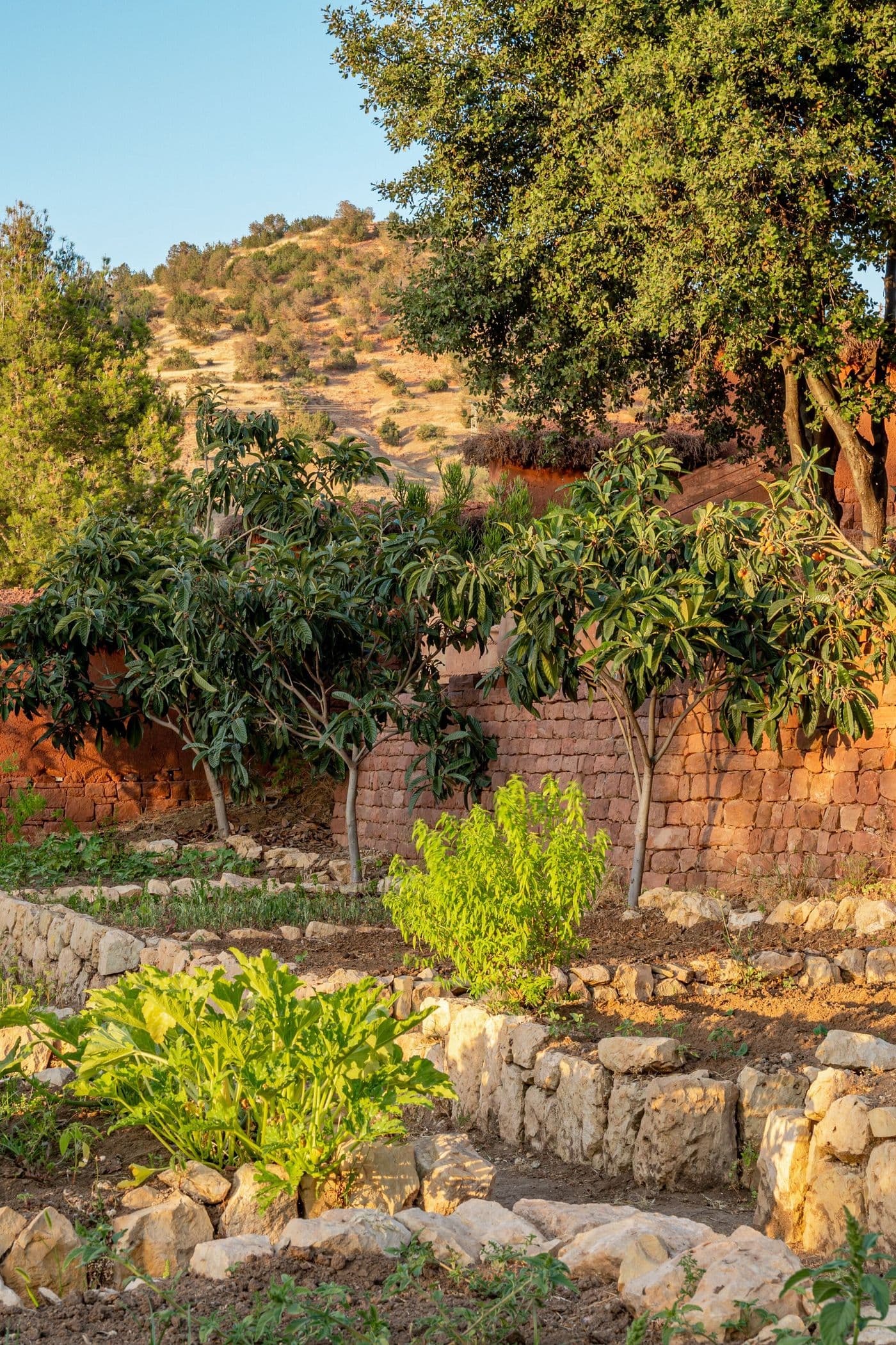 Terrasses en pierre du potager dans le jardin au Domaine Eladâr