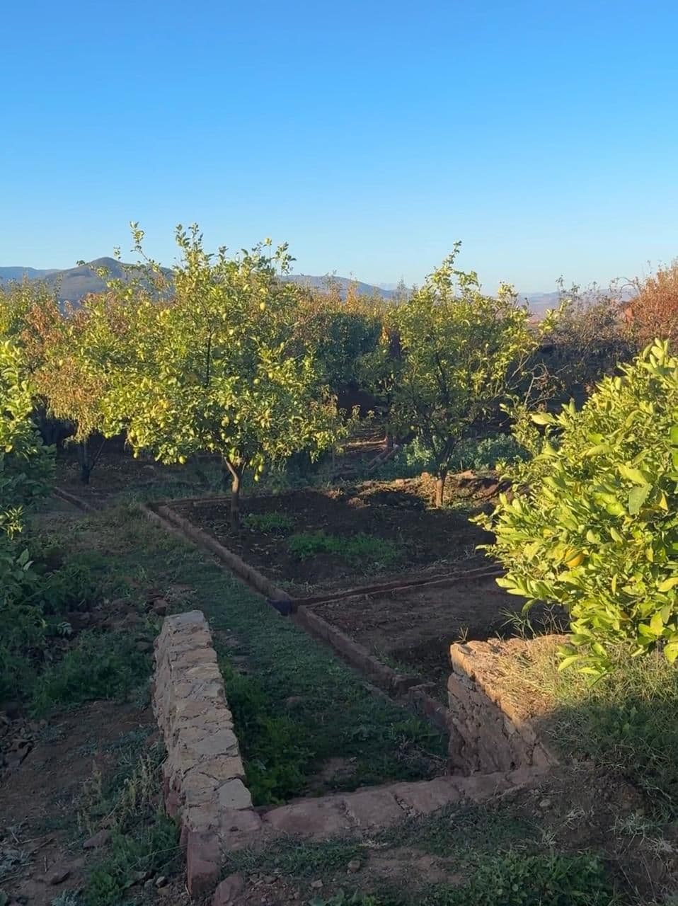 Verger d’Eladâr avec arbres fruitiers au cœur du domaine dans l’Atlas près de Marrakech